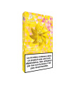 Citron Fruits des Bois ePod - Vuse