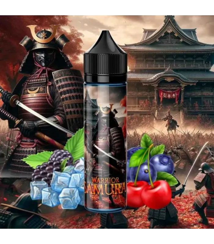 Samuraï - Warrior