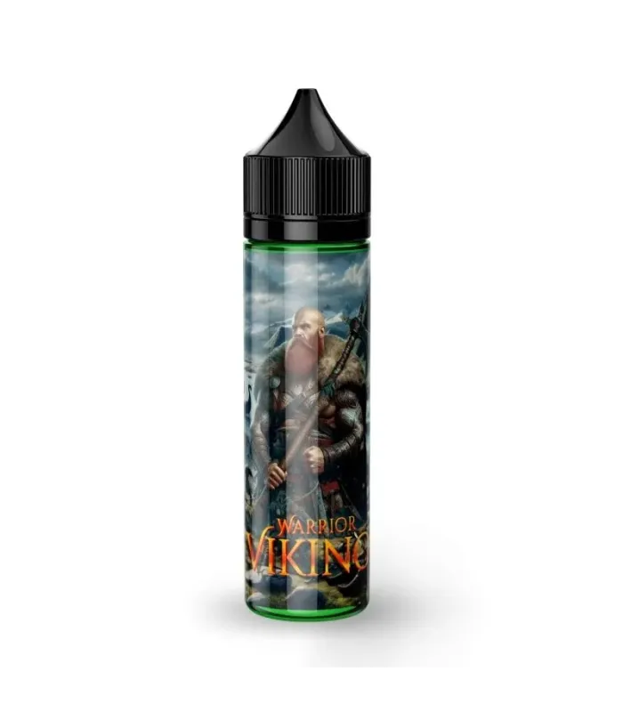 Viking - Warrior