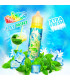 Icee Mint 50ml - Fruizee